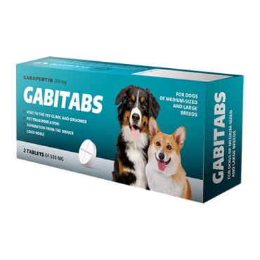 GABITABS for dogs of medium-sized and large breeds 2 x 200 mg tablets