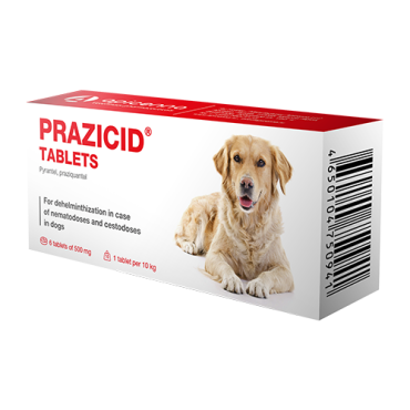 Prazicide tablets for dogs