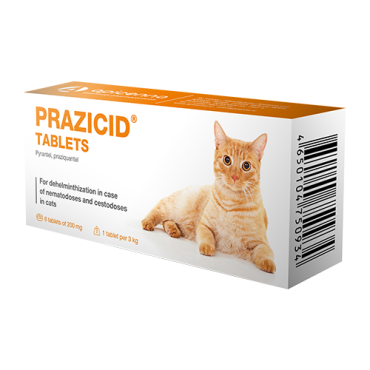 Prazicide tablets for cats