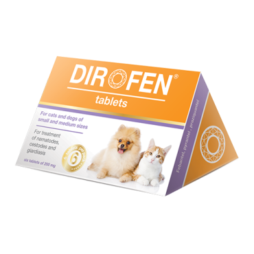 Dirofen tablets for cats and dogs of small and medium-sized breeds