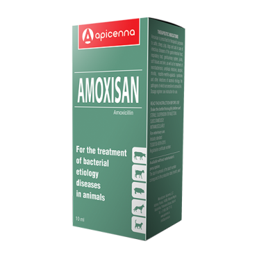 Amoxisan 10 ml